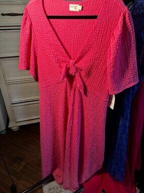 Terra & Sky Pink Textured Mid-Length Cutout Dress (14W)